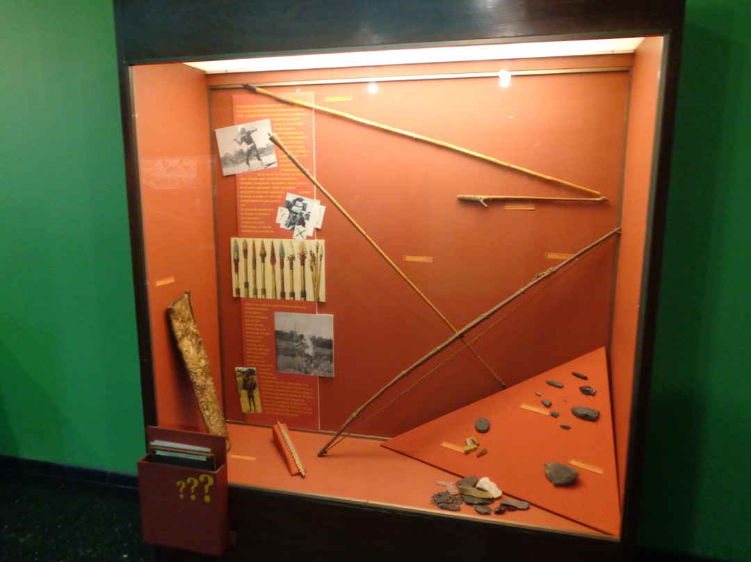 Instituto de Arqueología y Museo景点图片