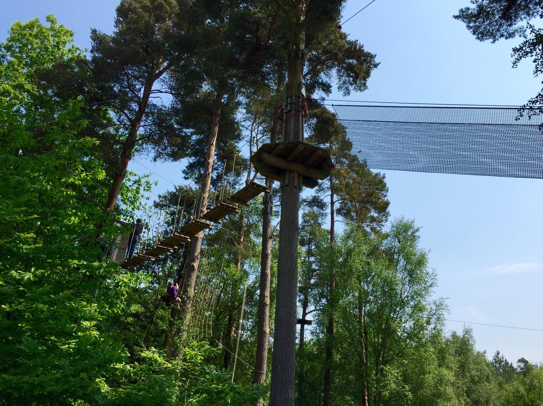 Go Ape Bedgebury景点图片