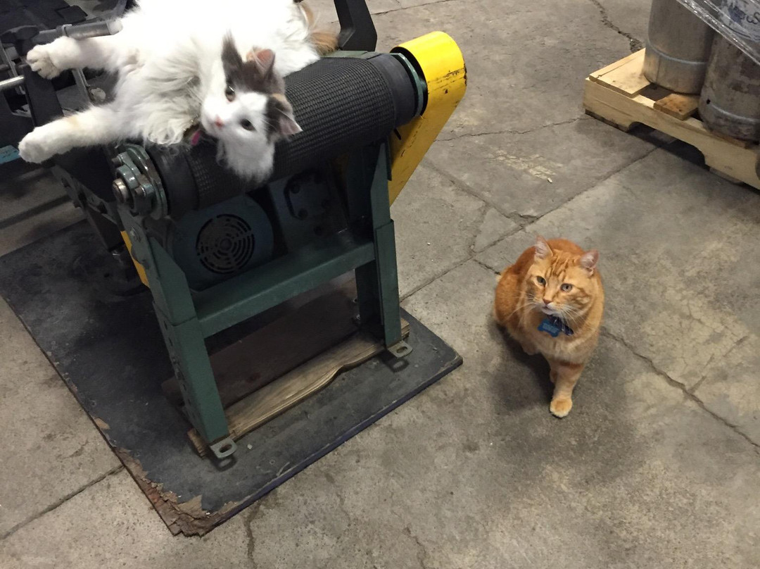 Grand Teton Brewing-Victor必去景点