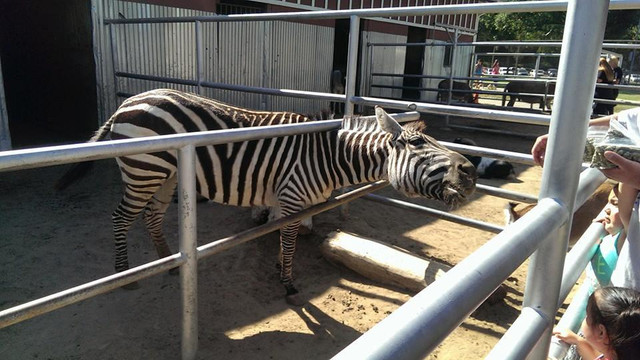 Montebello Barnyard Zoo-蒙特贝洛必去景点