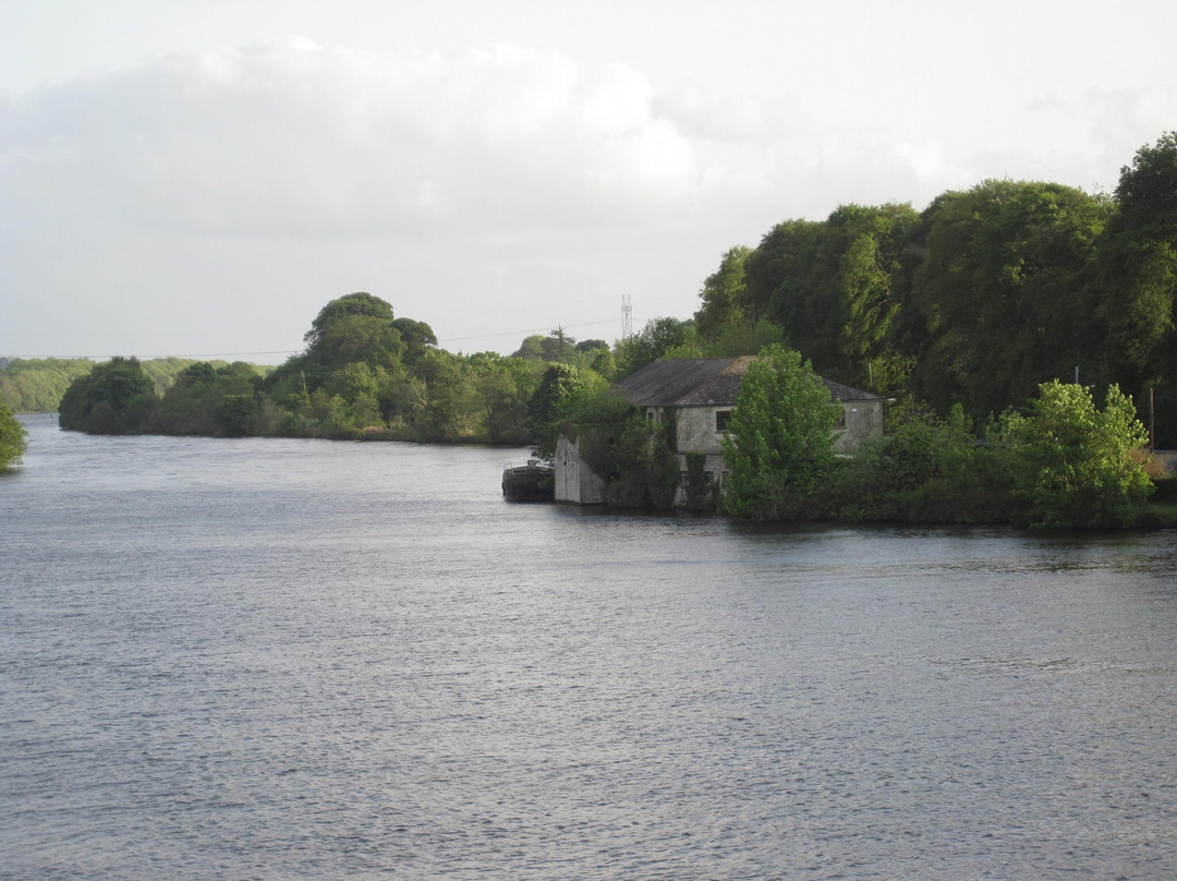 Nenagh Walking Tours-Nenagh必去景点