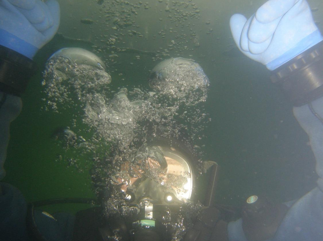 Dive Extreme景点图片
