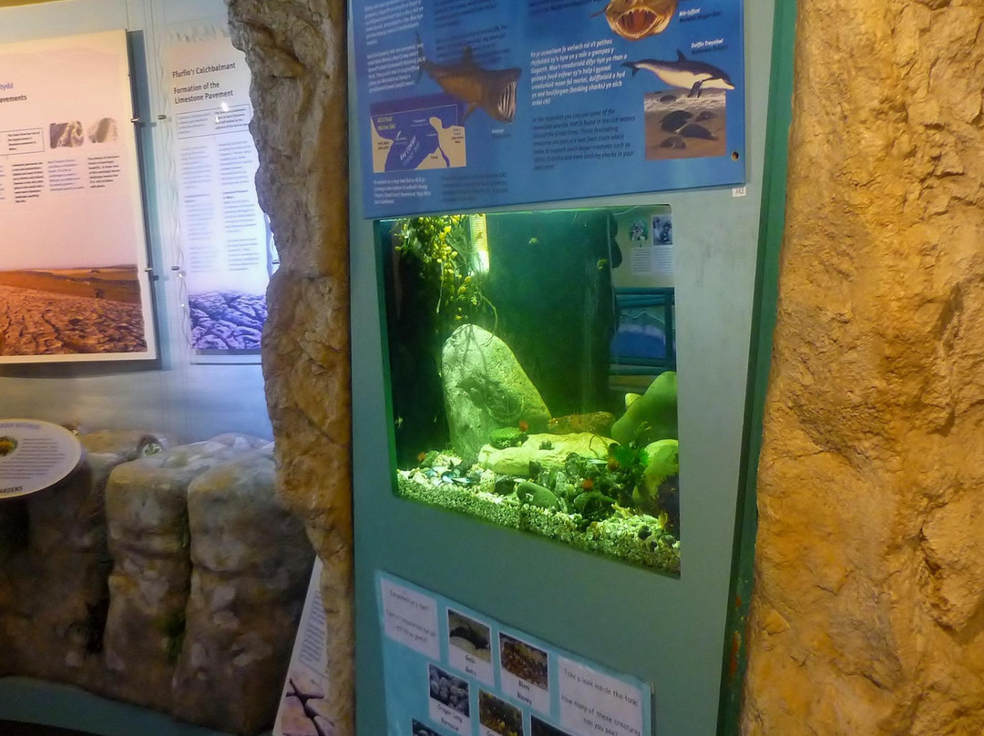 Great Orme Visitor Centre景点图片