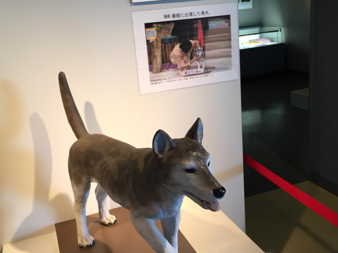 Tobinodai Historic Park Museum-船桥市必去景点