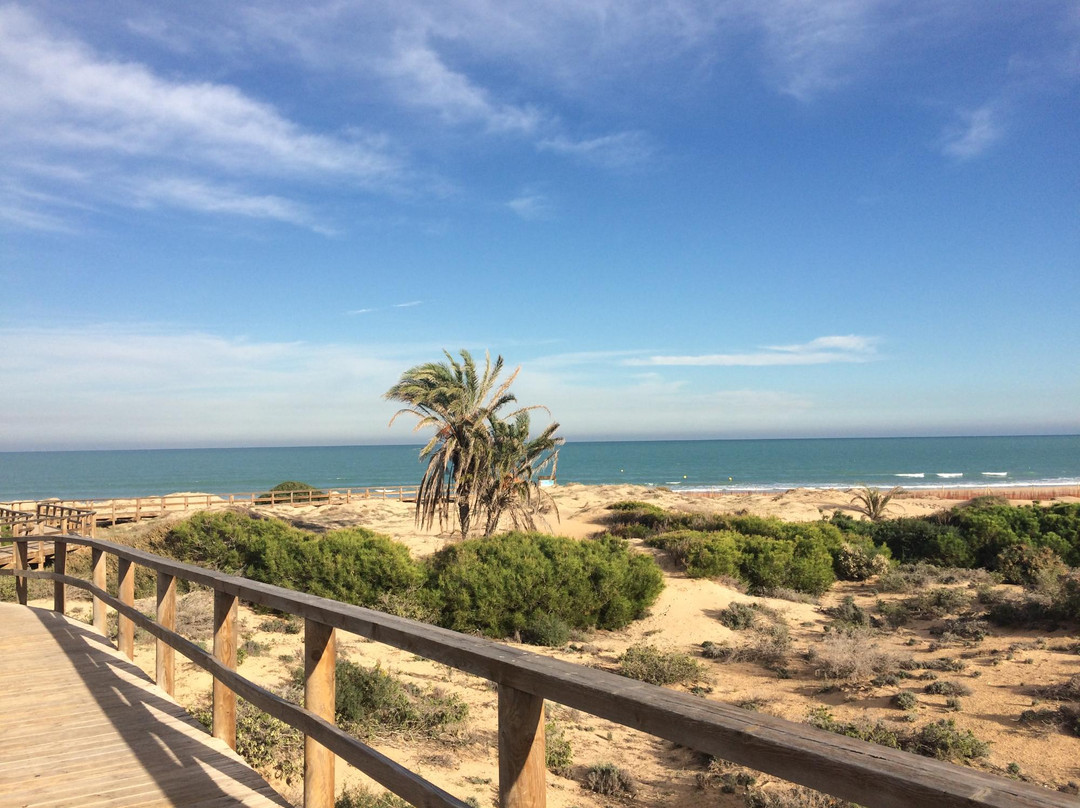 Playa El Carabassi景点图片