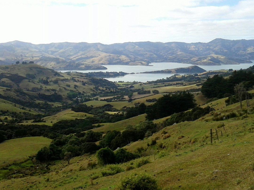 Akaroa Shuttle景点图片