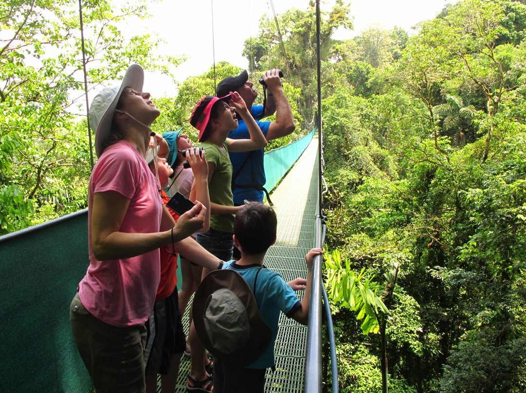 Costa Rica Green Adventures景点图片