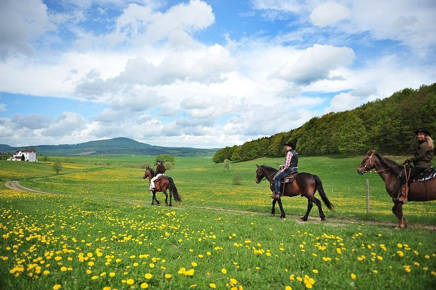 Stockborn Ranch - Westernreiten in der Rhon景点图片