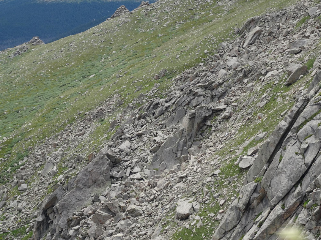 Mount Goliath Natural Area-Evergreen必去景点