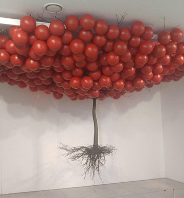 Jeju Museum of Contemporary Art-济州必去景点