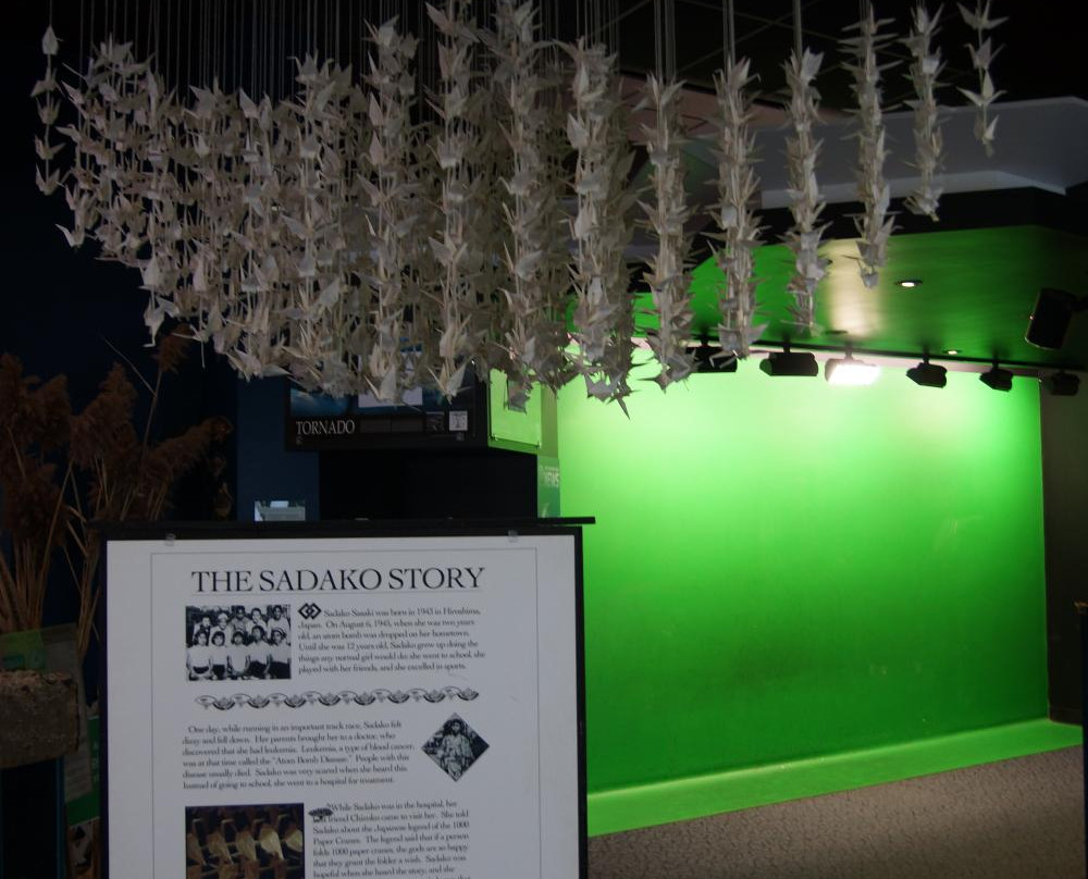 The Children's Museum of Science and Technology景点图片
