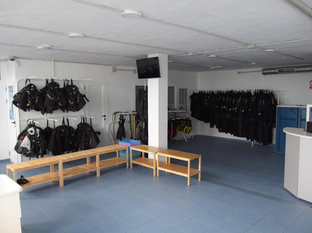 Native Diving Puerto del Carmen-卡门港必去景点