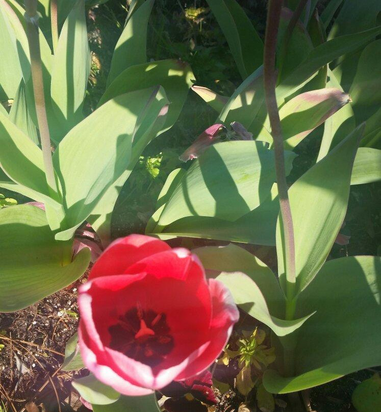 Fairhope Museum-费尔霍普必去景点