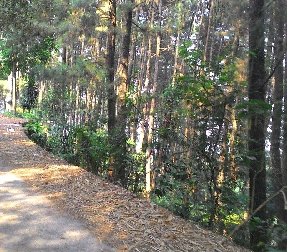 Curug Priuk, Naga Dan Barong-茂物必去景点
