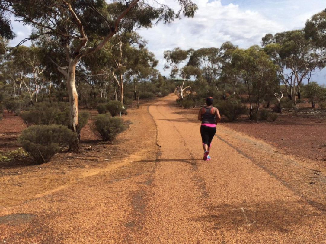 Karlkurla Bushland Park-卡尔古利必去景点