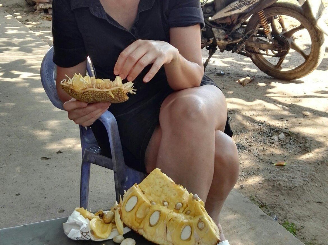 Mekong Ecolodge - Day Tours-凯比必去景点