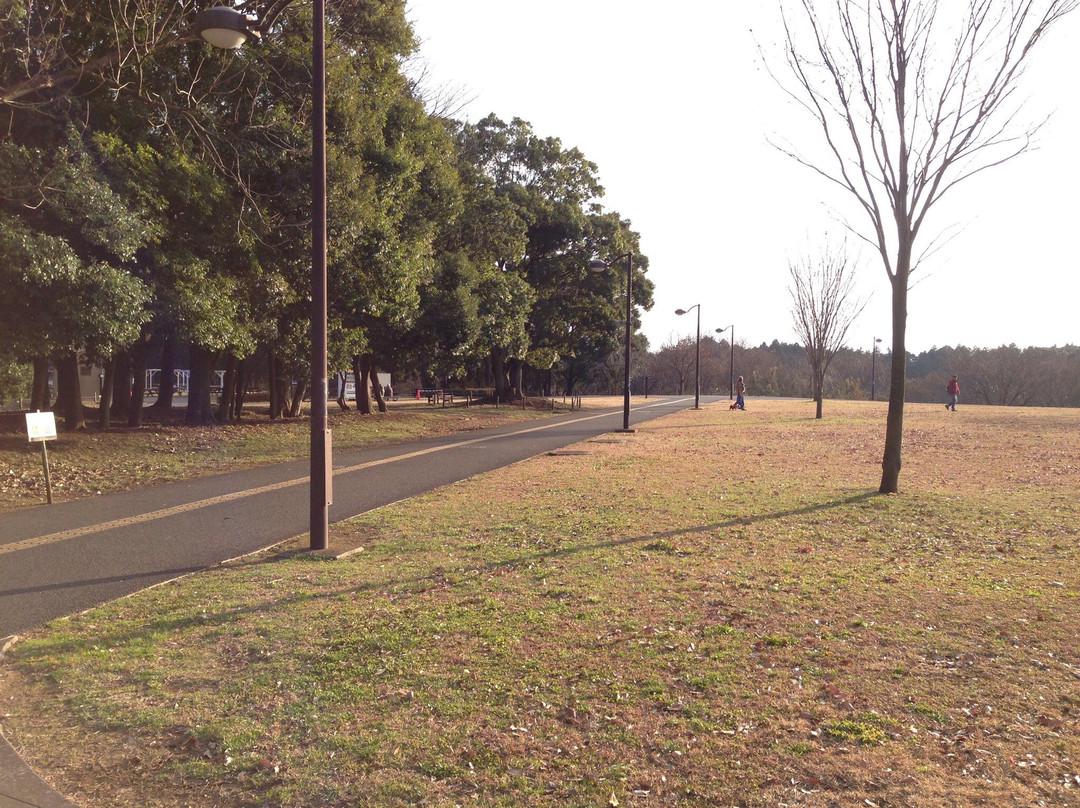 Hokusouhananooka Park-印西市必去景点