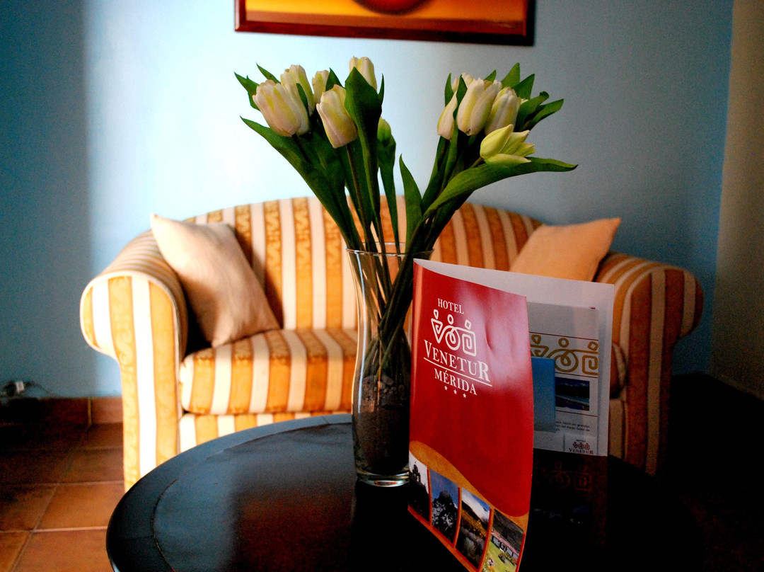 Hotel Venetur Merida主图