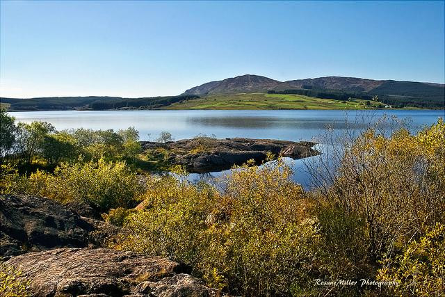 Wigtown旅游攻略图片