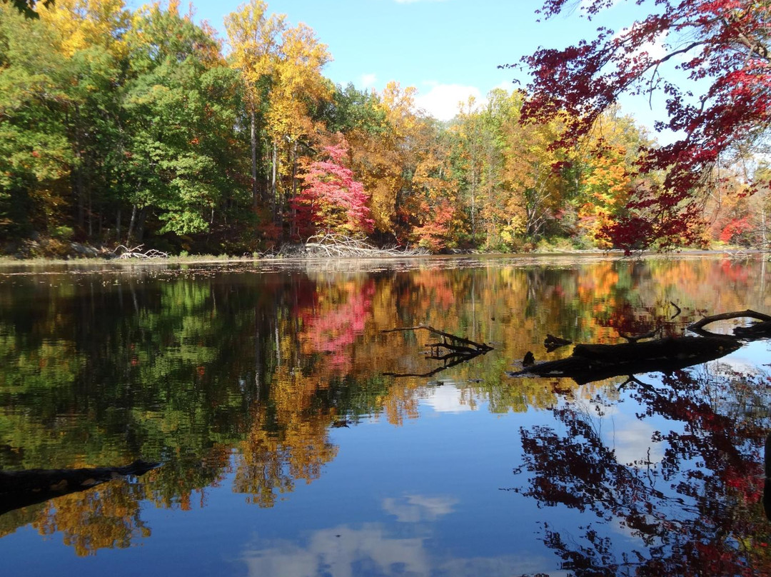 Black River County Park-Chester必去景点