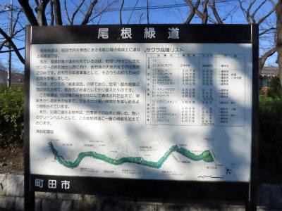 One Street-町田市必去景点