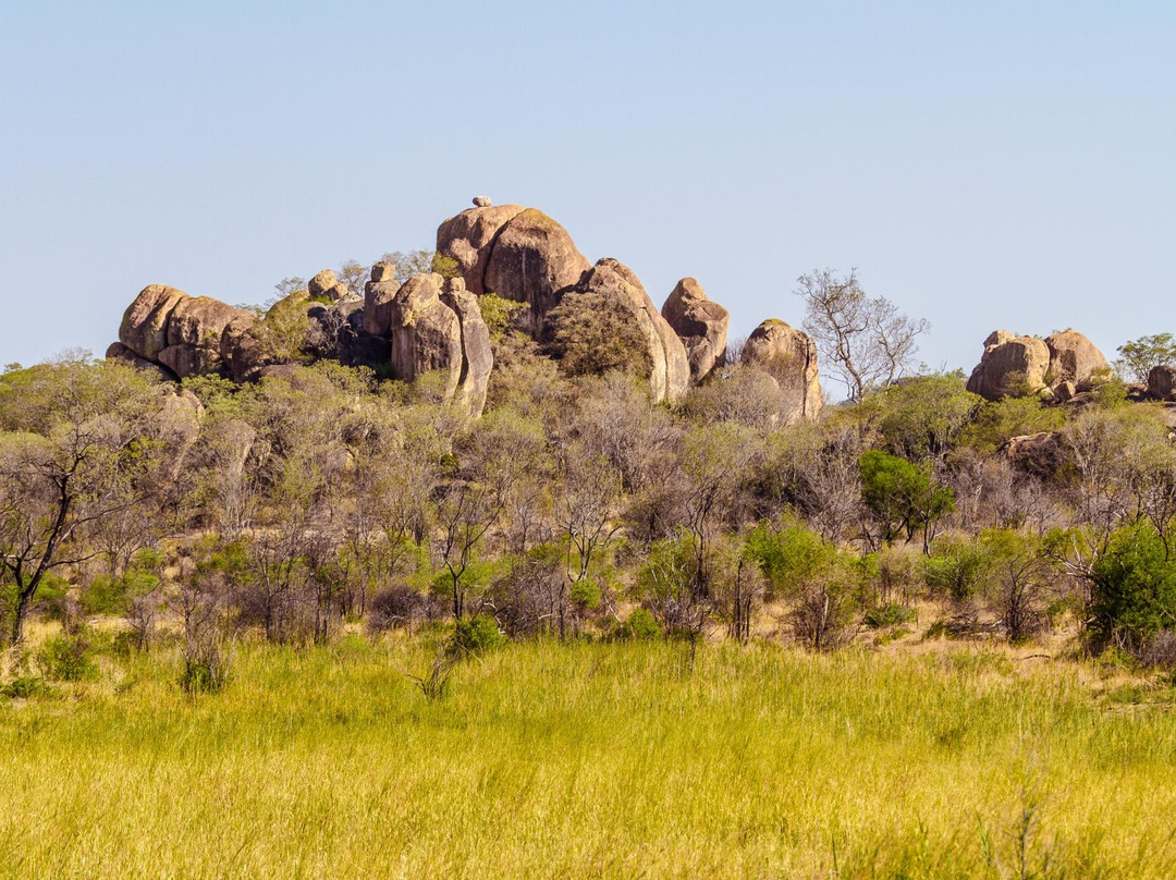 African Wanderer Safaris景点图片