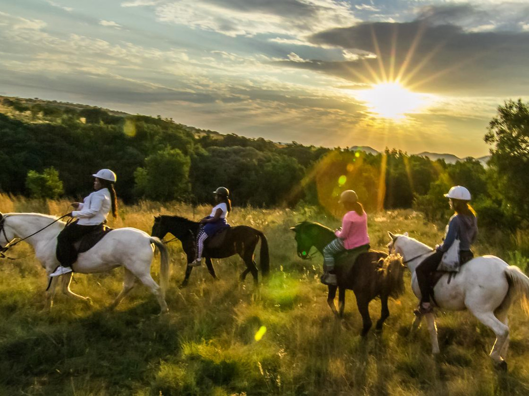 Harties Horse Trail Safaris-哈特比斯普特必去景点