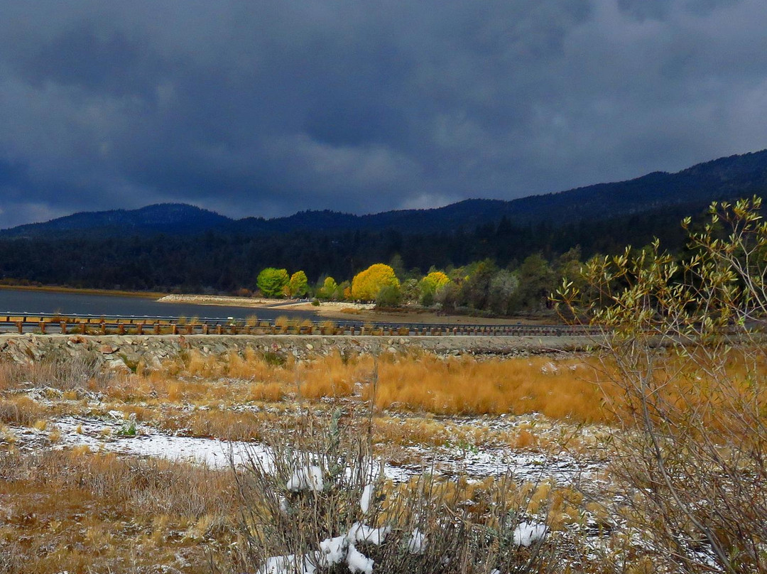 Stanfield Marsh Wildlife and Waterfowl Preserve-大熊湖必去景点
