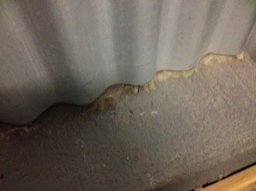 Blue Biddy Bed & Breakfast主图