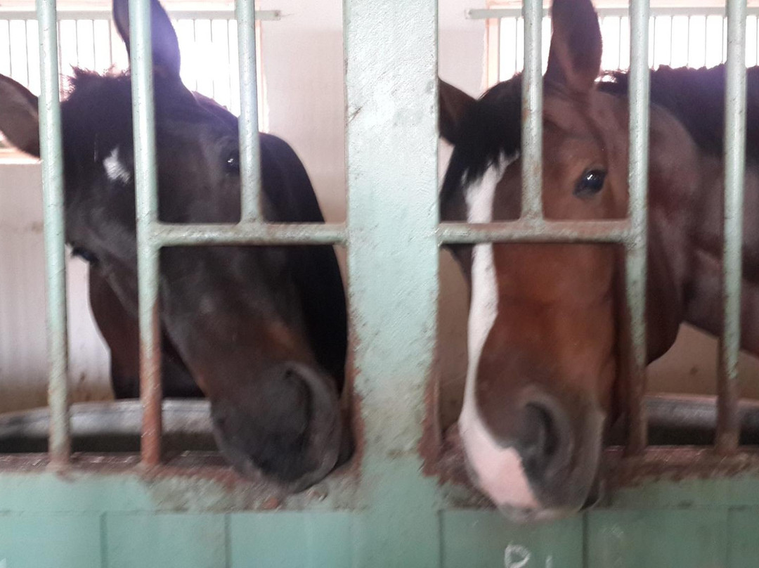 Breeding Farm Brech-Brech必去景点