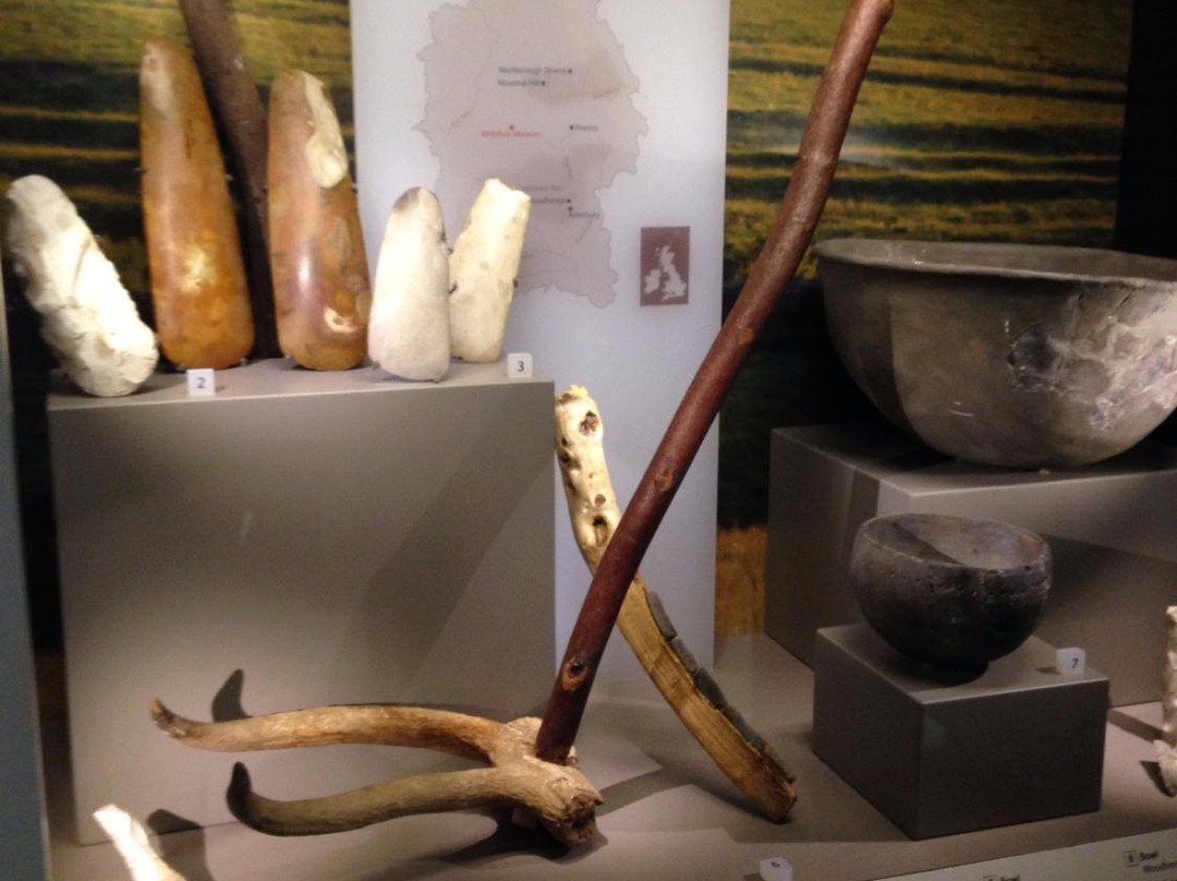 Wiltshire Museum-迪韦齐斯必去景点