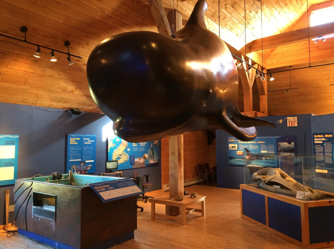 Whale Interpretive Centre景点图片