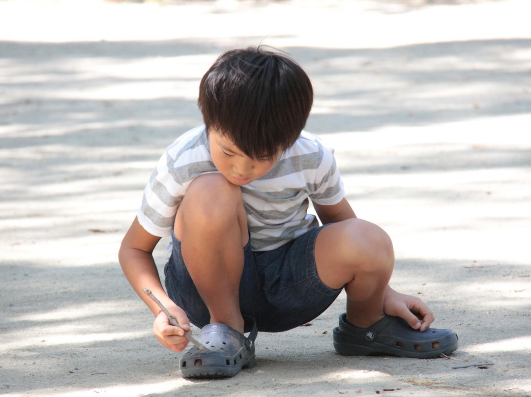 Nishimuko Park-尼崎市必去景点