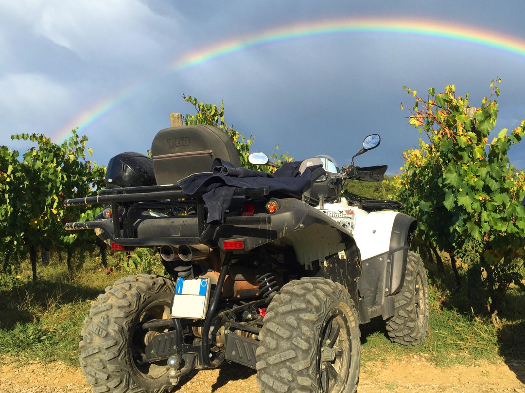 Crazy Quad Toscana景点图片