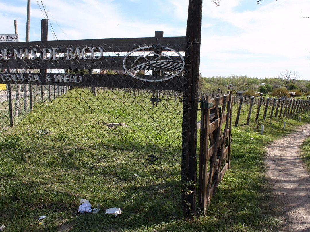 Colinas de Baco主图