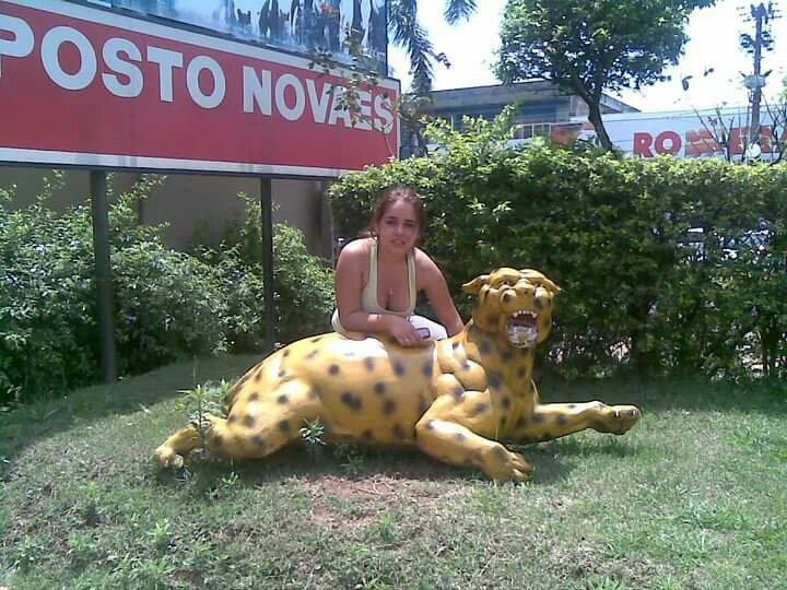 Parque dos Ervais-Ponta Pora必去景点
