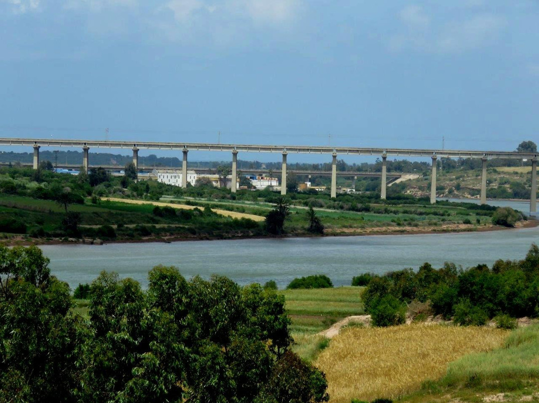 Oum er Rbia River-Azemmour必去景点