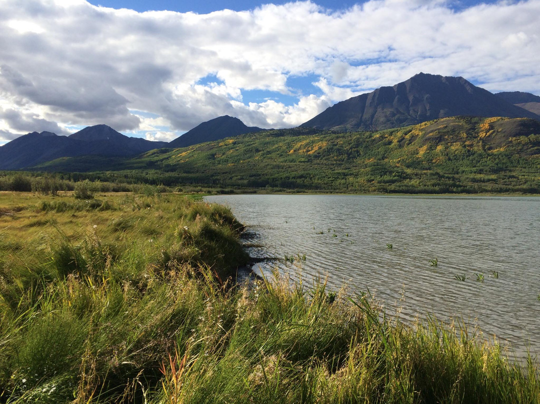 Moe's Yukon Ranch Adventures Hostel