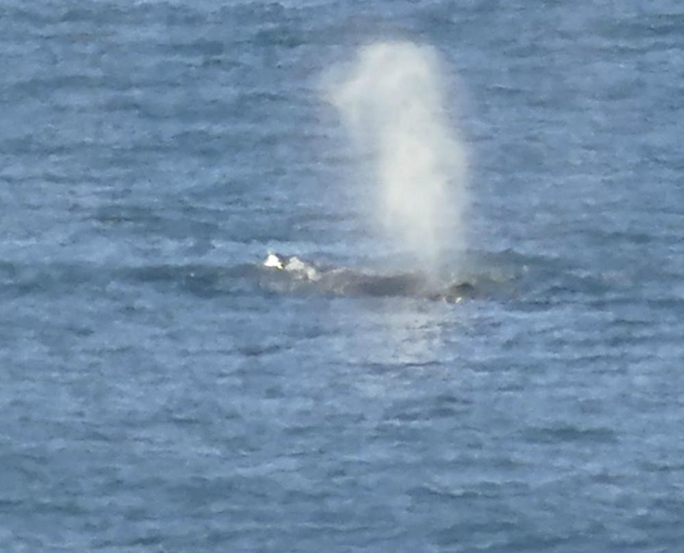 Hluleka Nature Reserve-姆莎莎必去景点