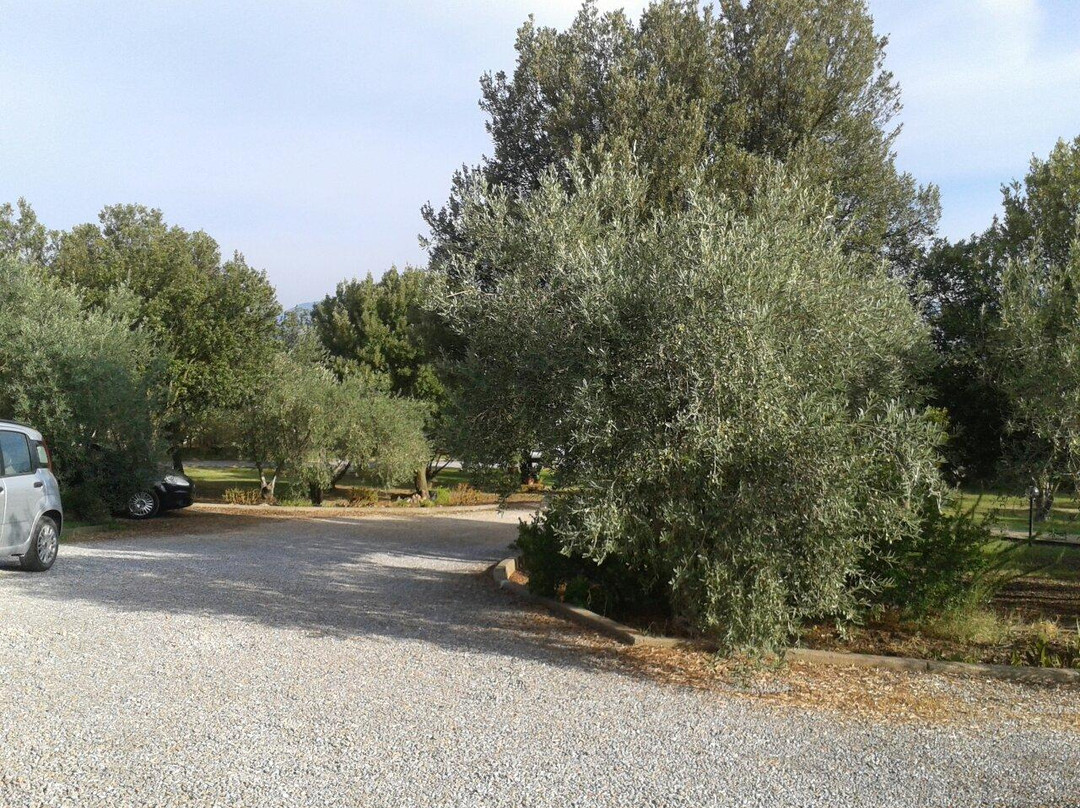 Il Castello di Gioiosa Guardia主图