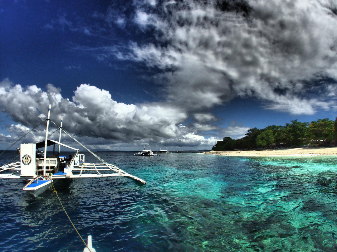 Spindrift Reefs Dive Center - Day Dive-达瑙市必去景点