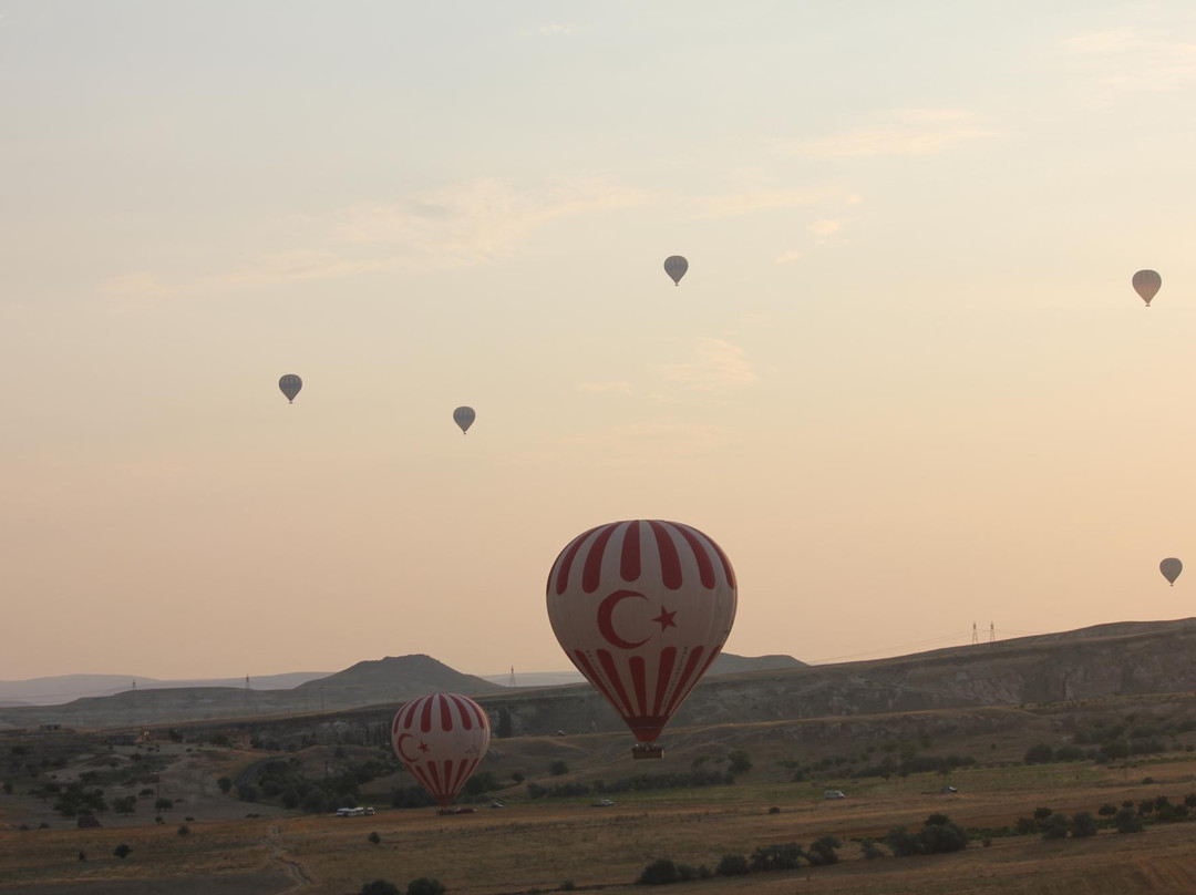 Authentic Holidays Temenus Tour-Private Tours景点图片