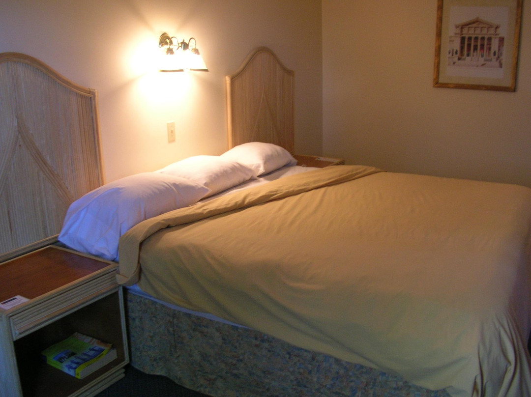 Hotel de La Tour主图