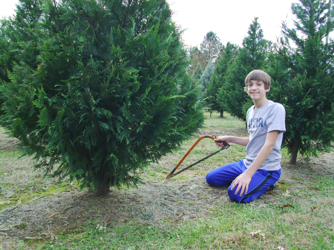 Bottoms Christmas Tree Farm-卡明必去景点