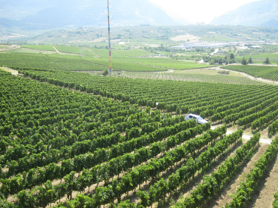 Zaccagnini-Bolognano必去景点