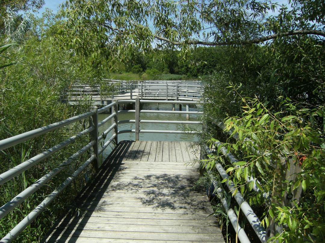 Glenridge Quarry Naturalization Site-圣凯瑟琳斯必去景点