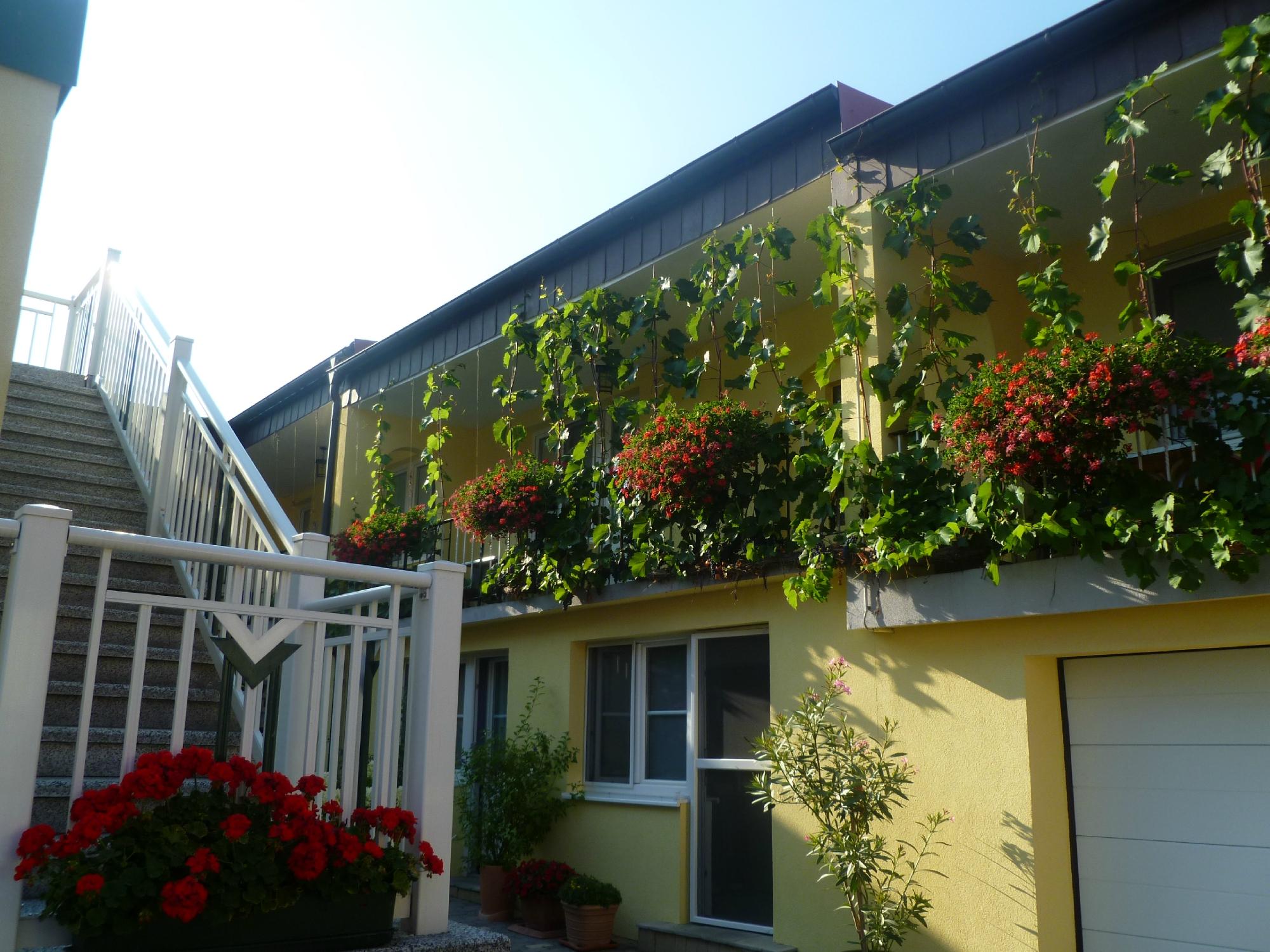 Pension Peterhof-客卧