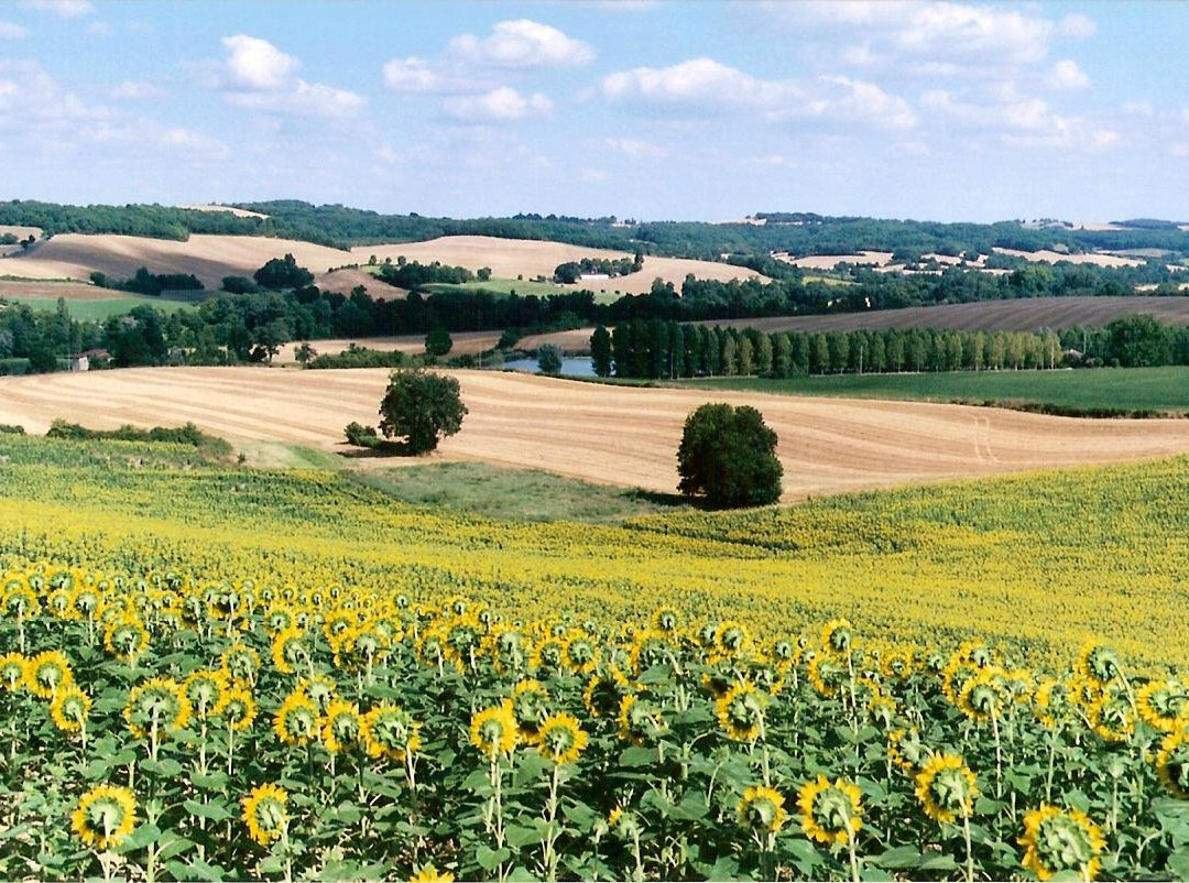 Les Celtes de Gascogne主图