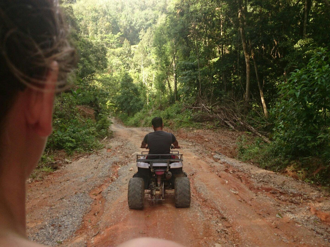 Jungle Flight景点图片