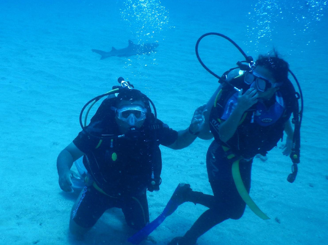 Costa Rica Te Enamora-乌维塔必去景点